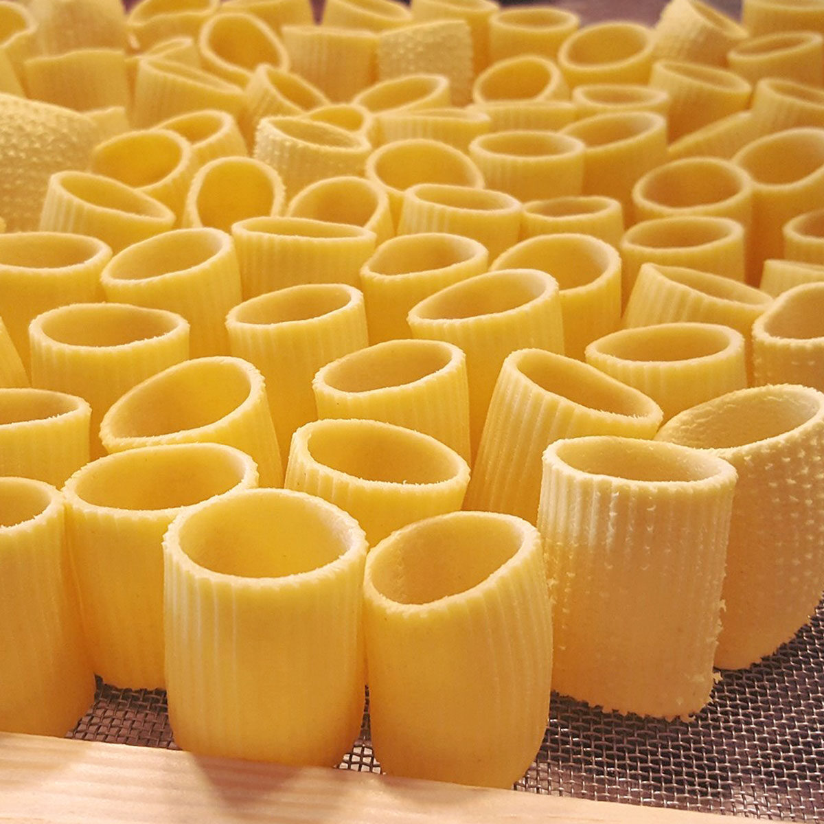 114-Paccheri-rigati_pasta_