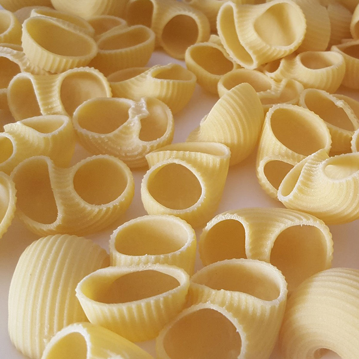 117-Canestroni-rigati-pasta_