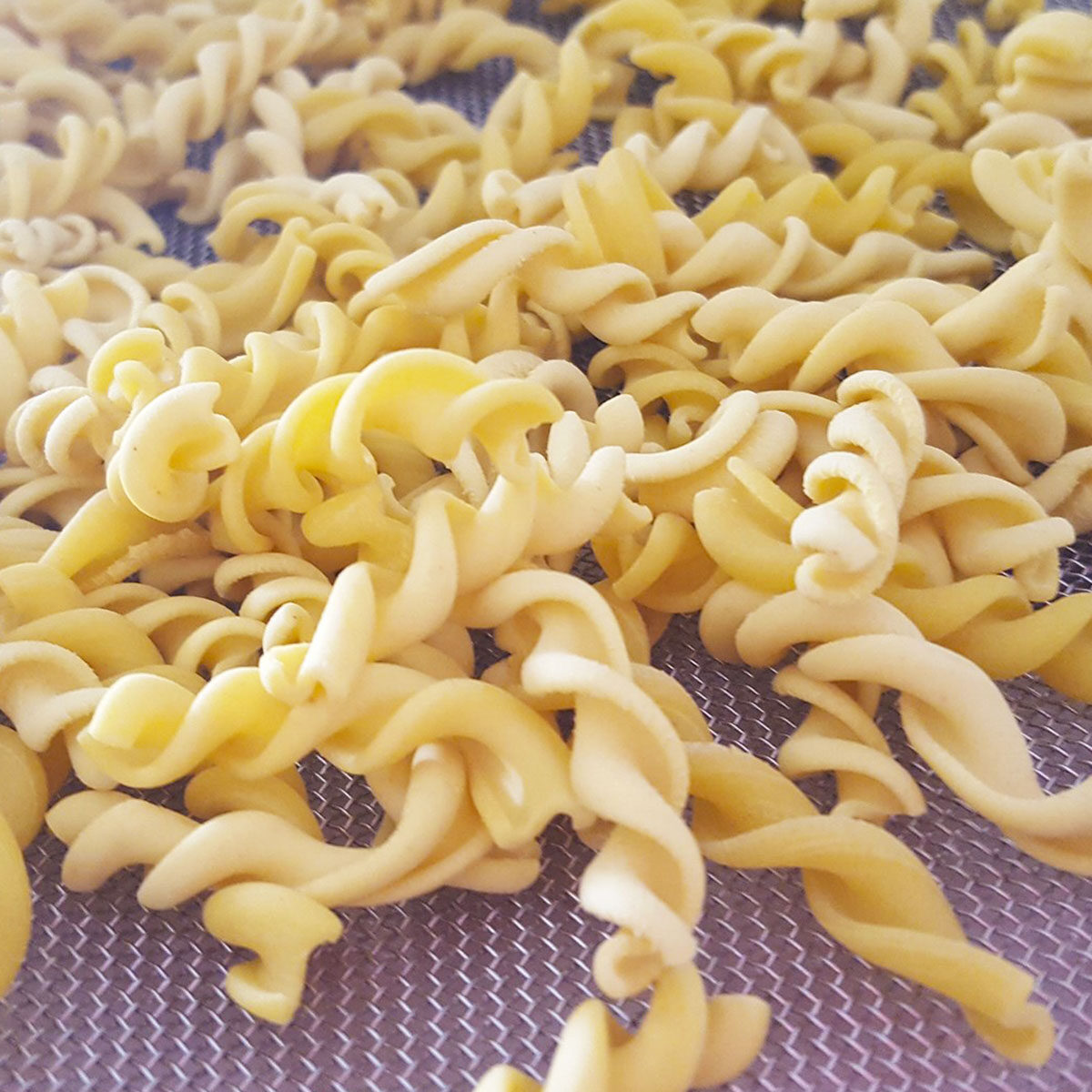 120-Eliche-a-2p_pasta_