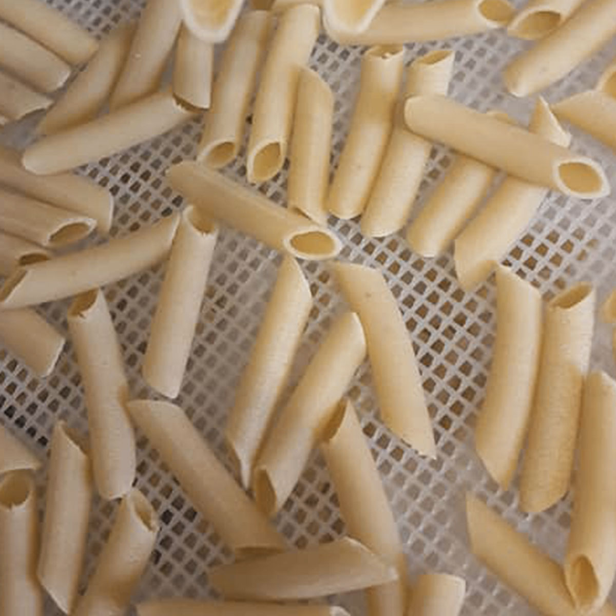 Bronze Die N° 124 PENNE LISCE - CAPO12 - Dies and Pasta 100% MADE IN ITALY