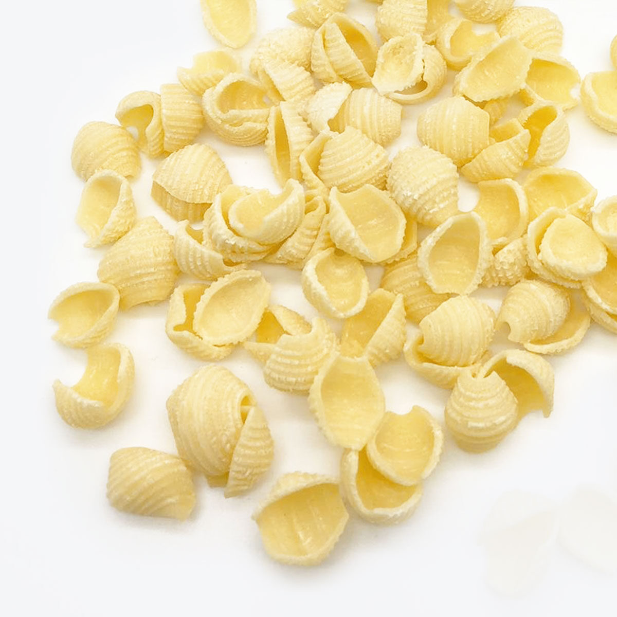 135-CONCHIGLIETTA_RIGATA_pasta