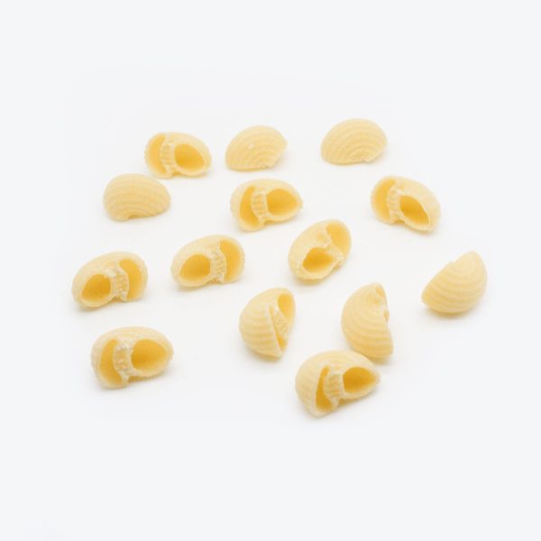 Bronze Die N° 189 CANESTRI RIGATI CAPO12 Dies and Pasta 100 MADE