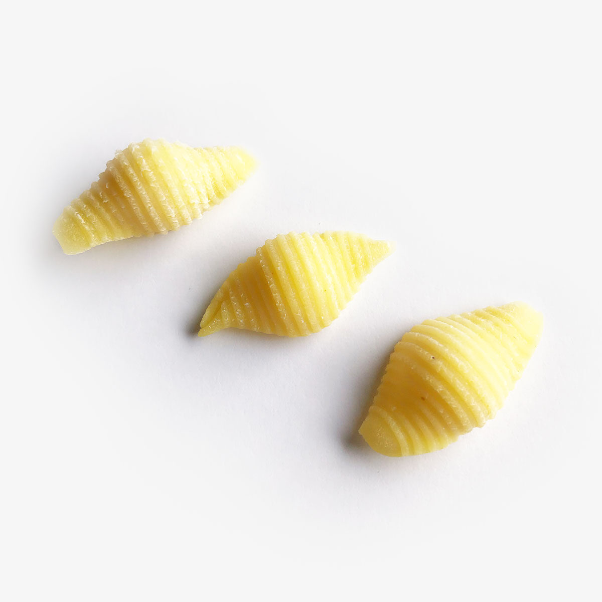 134-Conchiglie_rigate_pasta__