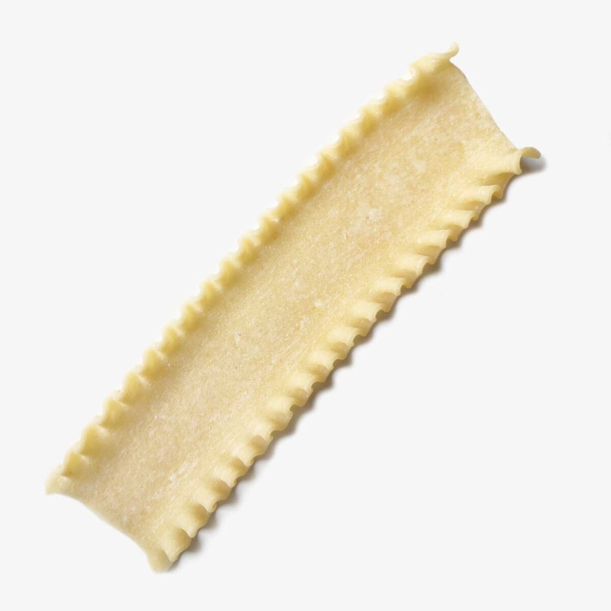 700_LASAGNA_RICCIA_Trafile-Pasta-Maker_pasta