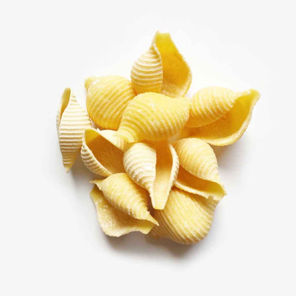 702_CONCHIGLIONE-JUMBO_Trafile-Pasta-Maker_pasta_