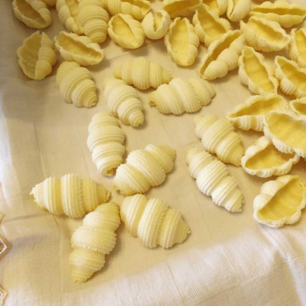 706_GNOCCO-NAPOLETANO-MAXI-RIGATO_Trafile-Pasta-Maker_pasta