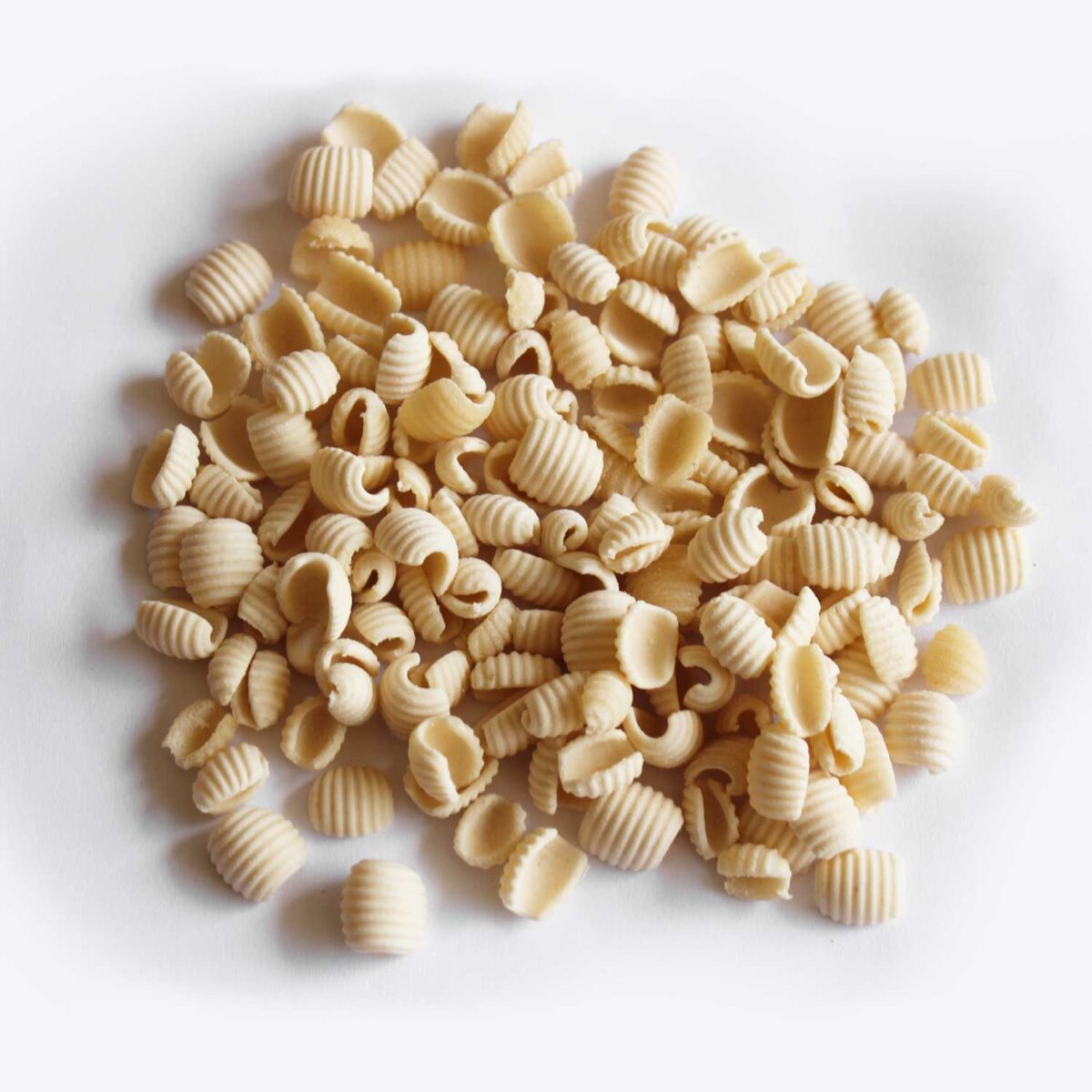 gnocchi_sardi_rigati_